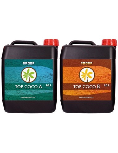 Top Crop Top Coco A&B 10 Litros