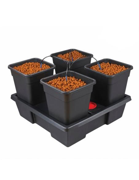 sistemas de cultivo wilma
