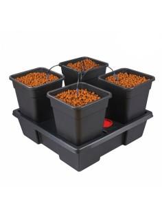 sistemas de cultivo wilma