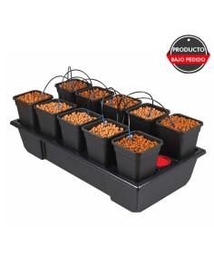 sistemas de cultivo wilma