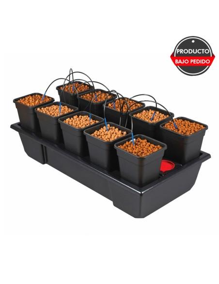 sistemas de cultivo wilma