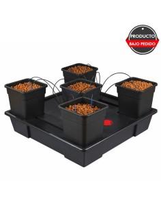 sistemas de cultivo wilma