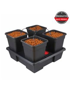 sistemas de cultivo wilma