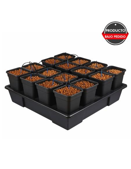 sistemas de cultivo wilma