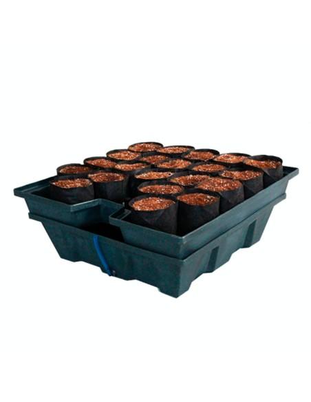 sistemas de Cultivo
