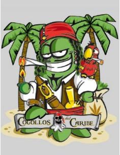 Camiseta Los Cogollitos Cogollos del Caribe