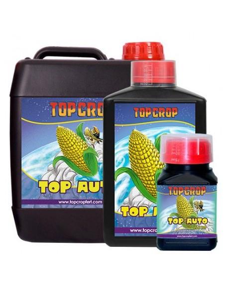 Top Crop Top Auto