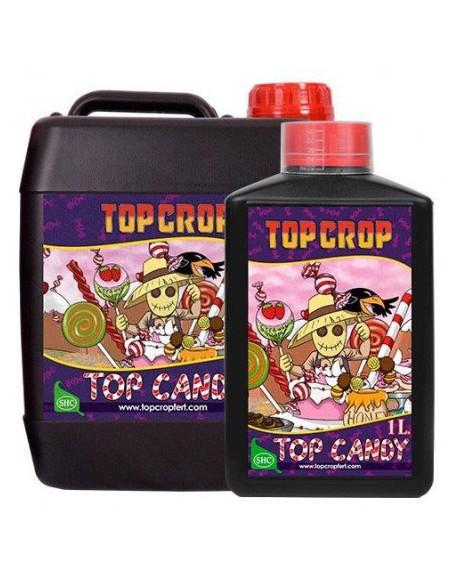 Top Crop Top Candy