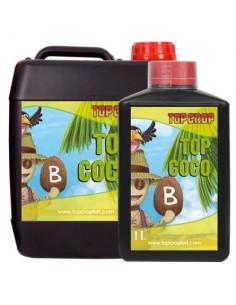 Top Crop Top Coco A&B 2