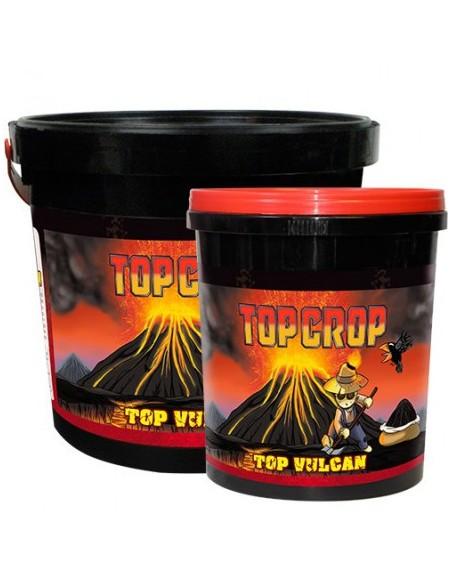 Top Crop Top Vulcan