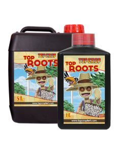 Top Crop Top Roots