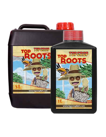 Top Crop Top Roots