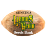 Llamas Grow Genetics Seeds Bank