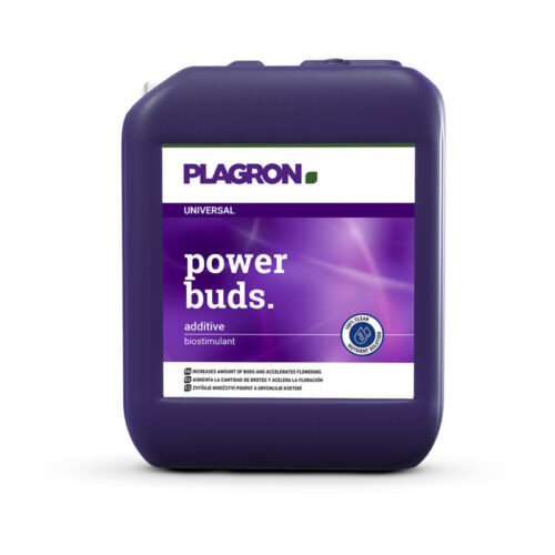 BP.Power buds 5 litre FPL.056 5.jpg