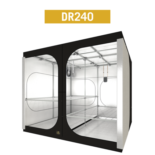 DR240 DR240