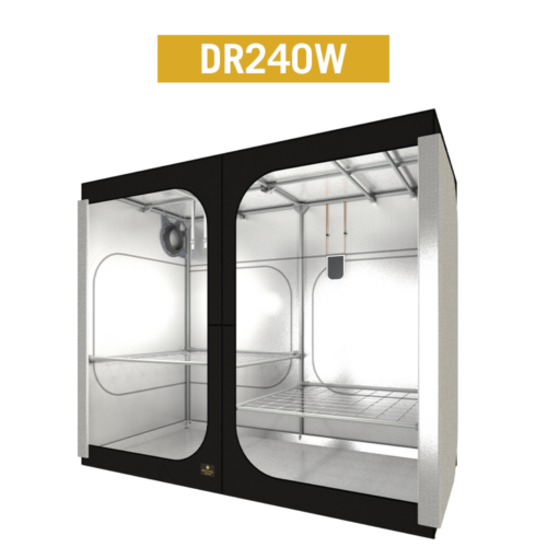 DR240W DR240W