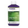 Plagron_Alga_Bloom_500ml_FPL.002-0500.jpg Plagron Alga Bloom 500ml FPL.002 0500.jpg