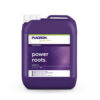Plagron Power Roots Plagron Roots 5L FPL.017 5.jpg